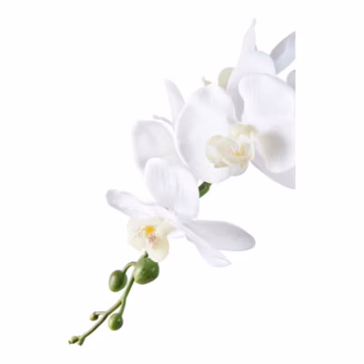 Orchidée artificielle réaliste verte et blanche – Plante décorative de 49 cm