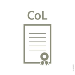 Siemens 6DL8913-0AK20-0AE5 6DL89130AK200AE5 Mise à niveau du logiciel Siemens 6DL8913-0AK20-0AE5 6DL89130AK200AE5 Mise à niveau du logiciel